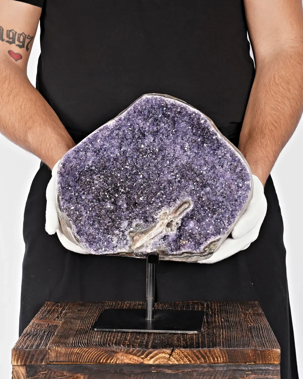 Die Amethyst-Heimat der Eidechse in weiss behandschuhten Händen