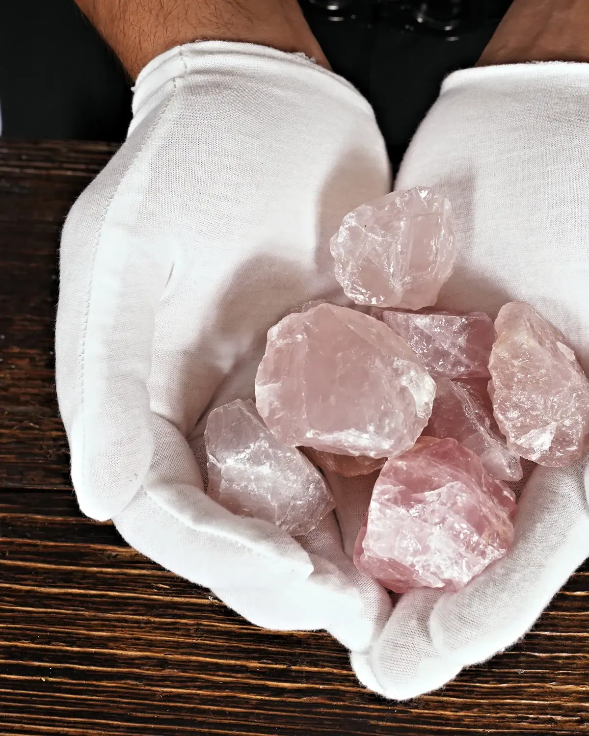 Kleine Rosenquarz-Rohsteine und Wassersteine in weiss behandschuhten Händen