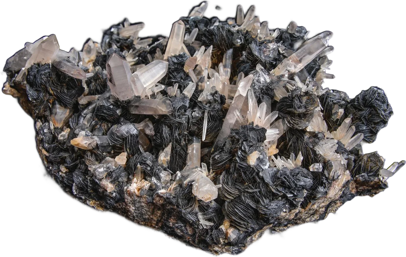 Eisenblume